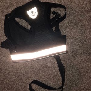 Cat Harness and Leash